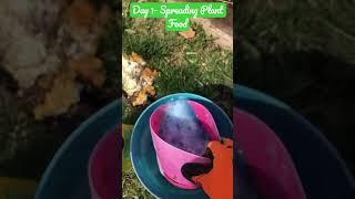 Gardening - Day 1 -  Spreading Plant Food - Miracle-Gro