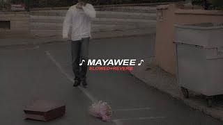 Mayawee (slowed+reverb)