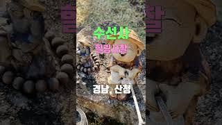 아름다운 연못의 힐링사찰, 산청 수선사/  커피와 꽃자리/ 여경스님/ 시절인연(時節人蓮)/ 산청 가볼만한곳