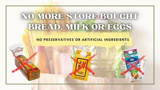 3 Things I No Longer Buy from the Grocery Store | Why I Stopped Buying Eggs Bread & Milk