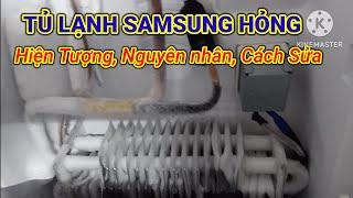 Tủ lạnh Samsung hỏng, hiện tượng nguyên nhân và cách sửa ngăn đông không lạnh