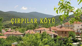 Bayramiç Çırpılar Köyü (Bu köy yurt içi ve yurt dışından göç alıyor!)