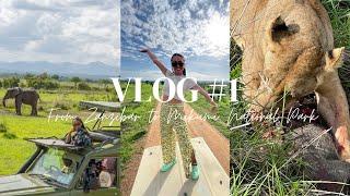 VLOG #1 - Tanzania Safari Mikumi National Park - Lohnt sich eine Ein-Tages-Safari? 