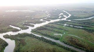 LAFAYETTE, LOUISIANA [4K] AERIAL DRONE FOOTAGE