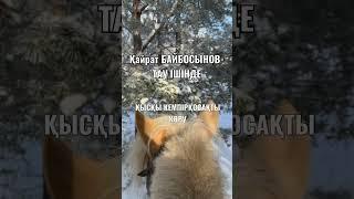 ТАУ ІШІНДЕ - СӘКЕН СЕЙФУЛЛИН. ОРЫНДАУШЫ - ҚАЙРАТ БАЙБОСЫНОВ.