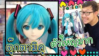 ตุ๊กตา มิคุ Dollfie Dream VOLK Hatsune MIKU | PONYTHSHOP LIVE  EP 156