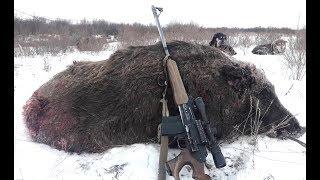 Wild Boar Hunting Tour in Mongolia