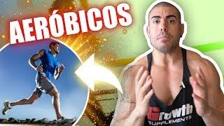 Tudo sobre exercicios aerobicos