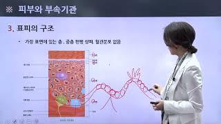 MBC미용학원 부산점_뷰티클래스 미용국가자격증 피부 필기시험 김미정쌤의 시험 꿀팁 강의