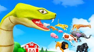 Giant Snake to Small Snake - Funny Video | Giant Snake Eating All Animals in Forest Animal Cartoons