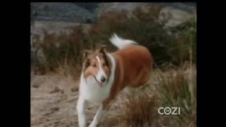 Lassie - Episode #554 - "Lassie's Busy Day" - Season 17, Ep. 15 - 01/17/1971