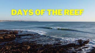 Days Of The Reef | Cornwall | March 2023 |