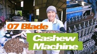 07 Blades Cashew Cutting Machine- Capacity 300 kgs per hour - John Cashew Machine