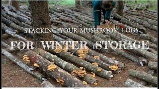 How to Stack Your Mushroom Logs for Winter Storage