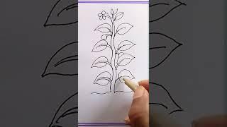 how to draw plant/how to draw parts of a plant