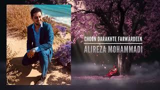 Alireza Mohammadi - Choon Darakhte Farwardeen Ahmad Zahir NEW Afghan Song Live in Concert 2023