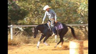 Australian Extreme Cowgirls Virtual Show Round 3- Green Horse - Ashir Kol & Docs Star Benz