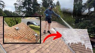 How To Clean Roof Moss The Eco Friendly Way