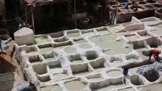 Leather Dyeing Pits Fes Morocco