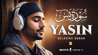 Stunning recitation of Surah Yasin (Yaseen) سورة يس | Relaxing Soft Voice | Zikrullah TV