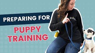 Puppy Training Basics Before Your New Dog Arrives: Skills for Future Dog Owners