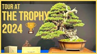 The Trophy 2024 Bonsai Exhibition