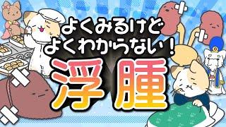 浮腫（むくみ）～解剖生理のボスをやっつけろ！～【リメイク】