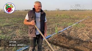 Восстановление парников. Высадка клубники. Новопавловск. КМВ.