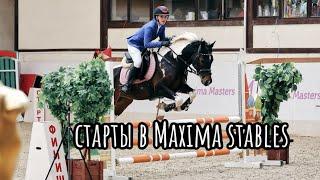 СТАРТЫ В MAXIMA STABLES | Новый конь?