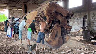 The chainsaw of the sacred tree ''Trembesi Alas'' was big and scary which disturbed the residents of