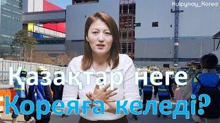 Қазақтар Кореяға неге жиі келеді?| Кореяда жұмыс жасайтын қазақтар қандай қиындықтарға тап болады?