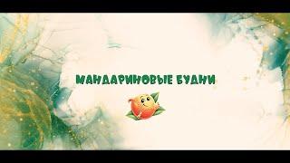 "Мандариновые будни" участников киножурнала!