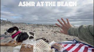ASMR At The Beach ️