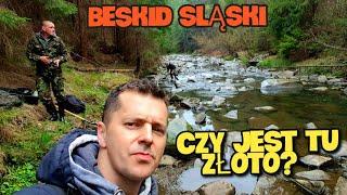 POLSKIE ZŁOTO  BESKID ŚLĄSKI