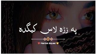 Pa Zrha Las kida  | Pashto Sad Shayari Status | Mental Squad |