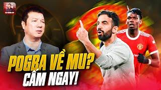 BLV QUANG HUY REACTION | AMORIM CHẲNG DẠI GÌ ĐƯA POGBA VỀ MU!