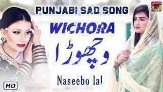 Dil Marjane Noon | Naseebo Lal | Old Song 2019 | TP Gold