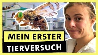 Biologie studieren: So ist es wirklich – Zwischen Vorlesung und Mikroskop | alpha Uni