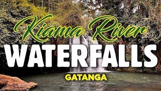 Thrilling Kiama River Hotel Waterfall Expedition