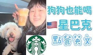 狗狗可以喝星巴克 美國英文點餐 Starbucks｜Sophia老師英文家教 English Tutor