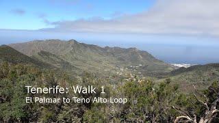 Tenerife: Walk 1, El Palmar to Teno Alto Loop