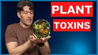 Plant Toxins Destroyed by Traditional Cooking Methods