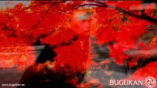 BUGEIKAN Martial Arts Organization 武芸館 武術组织