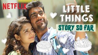 Little Things: The Final Recap | Mithila Palkar | Dhruv Sehgal | @DiceMediaIndia | Netflix India