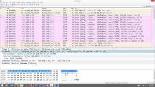 Analysing Ping with Wireshark