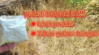 LEBIH PRAKTIS‼️CAMPURKAN BUBUK INI GULMA LANSUNG HANGUS