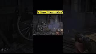 #flammable #reddeadredemption #pee #Burn #gameplay #funny #youtubeshorts #pc