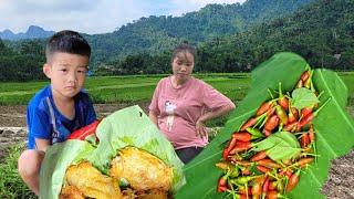 Pregnant mothers harvest chili peppers - Cook sweet potato cakes