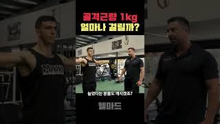 근육량(골격근량)을 1kg 늘리는데 걸리는 시간은!?