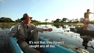 South Africa Part 3.Okavango, Botswana’s Oasis  / 영어로 하는 세계테마기행